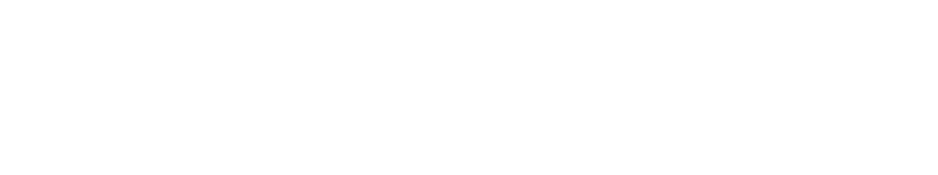 logo-toucan-w